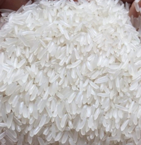 Arroz Vietnamita DT8 de Grano Corto - Arroz Blanco Aromático de Jazmín Fresco, Suave y de Alta Calidad en Bolsas de 50 kg, Seguro para Exportación - Product Image 1