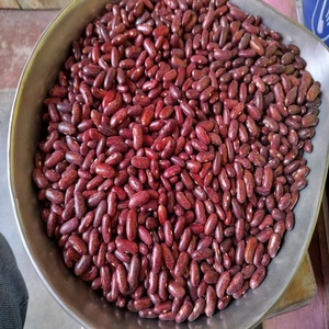 Venta al por Mayor Directa de Fábrica, Frijoles Rojos Oscuros de Alta Calidad, Frijoles Largos con Servicio OEM/ODM para Compradores Globales - Product Image 6