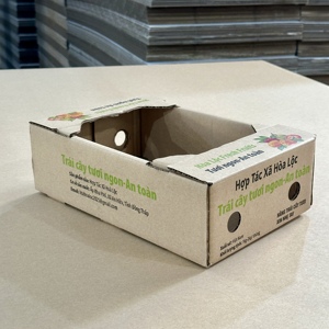 Caja de Cartón Corrugado Ecológica y Resistente para Empaque de Mango Fresco, con Orificios de Ventilación, Reciclable - Product Image 2