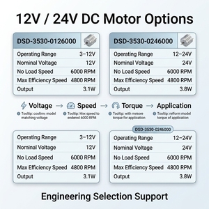 Motore DC Serie DSD-3530 12V 24V 6000RPM Senza Carico 4800RPM Efficienza Massima <span class=keywords><strong>3</strong></span>.1W <span class=keywords><strong>3</strong></span>.8W Motore a Spazzole - Product Image 5
