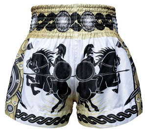 Pantalones Cortos de Kick Boxing Sublimados en Poliéster y Spandex para Hombre y Mujer, Shorts de Muay Thai Personalizados para Venta al Por Mayor OEM - Product Image 2
