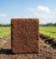 Cocopeat Premium Non Lavé 5kg Bloc Haute Concentration en EC Léger Écologique Biodégradable pour Jardinage, Horticulture et Pépinière
