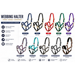 Ensemble de sangle de selle anglaise personnalisée de qualité supérieure avec harnais et sangle réglable pour l'équitation - Product Image 2