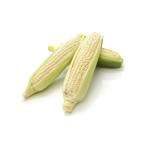 ข้าวโพดขาวบราซิลบริสุทธิ์สูง ไม่ใช่พืช GMO ข้าวโพดขาวธรรมชาติ สำหรับบริโภคและใช้ในอุตสาหกรรมอาหาร - Product Image 2