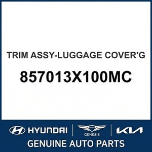 ชุดแต่งตัวถังและขอบประตูรถยนต์ Elantra รุ่นใหม่ 857013X100MC - Product Image 1