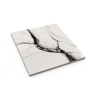 Carreaux de porcelaine élégants et brillants de qualité supérieure, polis et émaillés, pour murs et sols intérieurs, carreaux de 60x60 cm, carreaux Gujarat - Product Image 2