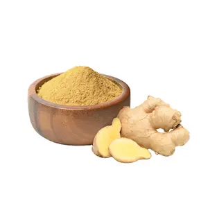 Poudre de gingembre | Poudre de gingembre pur, gingembre sec au prix de gros, poudre d'extrait de gingembre soluble dans l'eau de haute qualité - Product Image 1