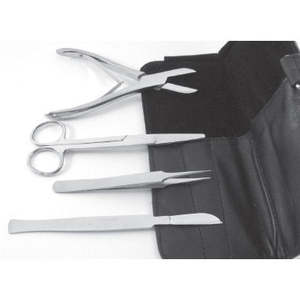 ชุดอุปกรณ์เพาะพันธุ์ปะการังเคลือบไทเทเนียมพลาสม่าเรนโบว์ ผู้ขายในราคาถูกจากปากีสถาน โดย Dentavex - Product Image 3