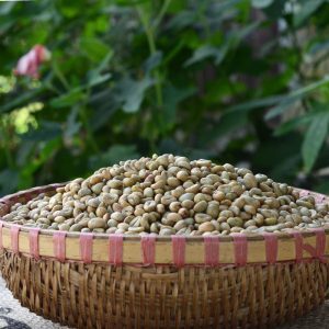 Grains de café vert Arabica & Robusta, café non torréfié de qualité supérieure, biologique, vente en gros, 100% naturel, haute qualité pour l'exportation, OEM/ODM Vietnam - Product Image 5