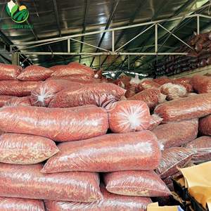 CHILE ROJO SECO DE VIETNAM DE LA MEJOR CALIDAD PARA PROCESAMIENTO DE ALIMENTOS Y SABORIZO - Product Image 2