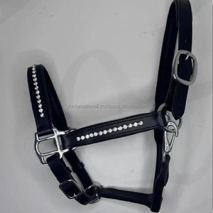 Licou de cheval en cuir anglais noir de qualité supérieure avec rembourrage doux et coutures durables Cristaux Bling licou fantaisie décoratif - Product Image 4