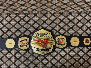 Cinturón de Campeón Mundial de Lucha Libre TNA, Chapado en Oro, Cuero PU, Unisex, Equipo de Artes Marciales - Product Image 1