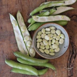Haricots secs fendus de haute qualité en gros, origine américaine, emballage en vrac de 25 kg, prix actuel - Product Image 2