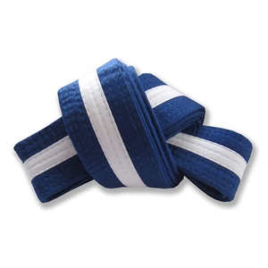 Cinturones de Karate Personalizados con Opciones de Bordado para Nombres, Logotipos de Club, Colores, Rangos, Cinturones Duraderos con Costuras Multicapa para Karate, Judo, BJJ - Product Image 1
