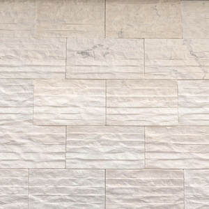 Azulejo Blanco Lechoso con Diseño de Cara Dividida 1020 cm (CTS-DOT-TN-16) Diseño Moderno para Baño y Almacén - Product Image 1