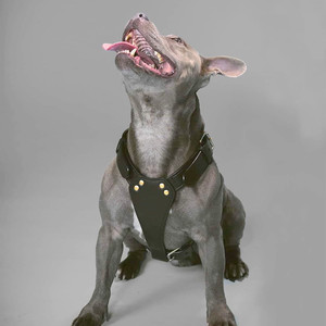 Arnés Acolchado para Perro, Color Negro, Ajustable, Cómodo, Resistente, para Pasear y Entrenar, Equipo Duradero para Mascotas - Product Image 4