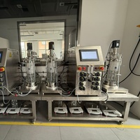 Bailun 5L ab alimenté bioréacteur par lots fermenteur bioréacteur en verre à agitation mécanique l utilisé pour les BLBIO-GJ de culture microbienne