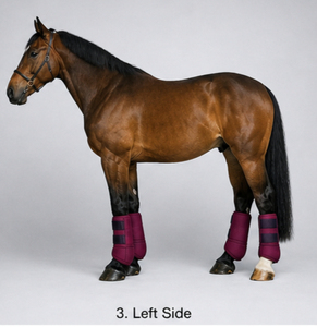 Botas de equitación medicinales de neopreno, amortiguadoras, transpirables, duraderas, protección para las piernas ecuestres, fabricante OEM - Product Image 4