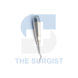 Elevador de Raíces Curvo Derecho Surgist Apexo de Acero Inoxidable, Herramienta Manual Quirúrgica para Extracción Dental, Certificación CE Clase I - Product Image 4