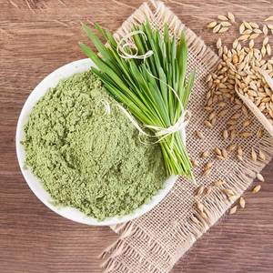 Polvo de Pasto de Cebada Orgánico al por Mayor OEM, Superalimento Verde de Primera Calidad, Rico en Vitaminas y Antioxidantes para Smoothies y Bebidas Saludables - Product Image 4