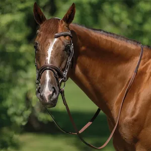 Italian Leather Horse Bridle <b>Equestrian</b> Horse Riding Genuine Leather Horse Bridle - Product Image 1