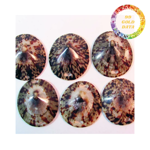 Concha de Limpet Pulida, Concha Decorativa Natural de Tacto Real para Manualidades, Regalos Hechos a Mano y Suministro al por Mayor - Product Image 4