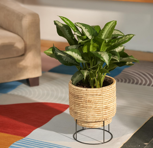 Pots de rangement au sol en jacinthe d'eau de style rétro, fabriqués au Vietnam, avec poignées, tissés à la main, écologiques - Product Image 2
