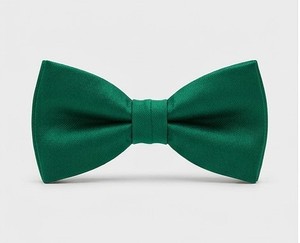 Nœud Papillon Floral pour Homme, Formel, pour Mariage et Fête, Fait Main, à Nouer Soi-même, en Polyester, Coupe Slim, pour Affaires, Vente en Gros Usine - Product Image 1