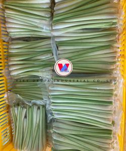 Cañas de limoncillo enteras congeladas IQF Halal a granel, hierba individual para procesamiento de alimentos, suministro para restaurantes. Contacto: +84971879377 - Product Image 1