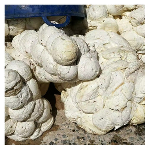 Trozos de Caucho de Alta Demanda, Material de Primera Calidad para el Sector de Procesamiento y Fabricación de Caucho - Product Image 6