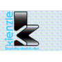 Kienzle GmbH Drahtförderbänder logo