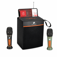 Altavoz Portátil LN-1036MIC con Entrada para Micrófono, Máquina de Karaoke de 30W, Soporte para Teléfono, Caja de Sonido Inalámbrica, Venta al Por Mayor