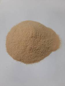 Jengibre en Polvo Premium al por Mayor Hecho en Tailandia, Empaque de 10 Kg por Caja - Product Image 1