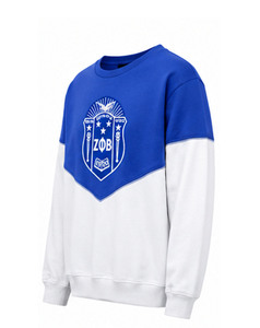 Wholesale Custom Made Latest Design Zeta Phi Beta <b>Men</b> Crew Neck Solid Embroidered Sweatshirt Sorority Apparel 100% Cotton Fleece - Product Image 5