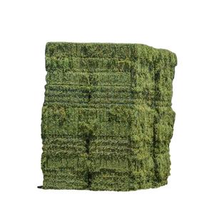 Rhodes <b>Grass</b> <b>Dried</b> High-Protein Bales Grain Style Animal Feed for Cattle Pig Horse Goat Camel Bird Low Prices in China Japan - Product Image 4