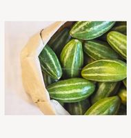 Verse groene puntige komkommer, premium kwaliteit groente uit Bangladesh. Verse puntige komkommer, hoogwaardige groene groente uit Bangladesh.