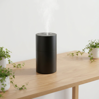Diffuseur d'huiles essentielles sans eau à ultrasons en aluminium, alimenté par batterie rechargeable, pour voiture, purificateur d'air parfumé, vente en gros