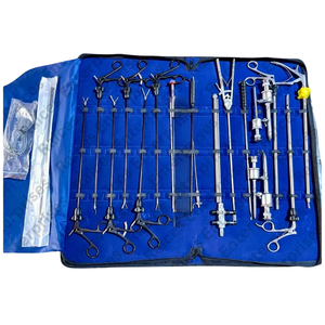 Juego de Instrumentos Laparoscópicos Hemolock con Fuente de Alimentación Manual para Uso Hospitalario, Certificado CE, Disponible en Tamaños Pequeño, Mediano, Grande y XL - Product Image 1