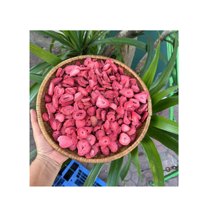 สตรอว์เบอร์รีอบแห้งเนื้อนุ่มธรรมชาติ เคี้ยวเพลิน เนื้อสัมผัสยืดหยุ่น คุณภาพสูง สำหรับวัตถุดิบขนมหวาน ท็อปปิ้งของหวาน นำเข้าจากต่างประเทศ - Product Image 1