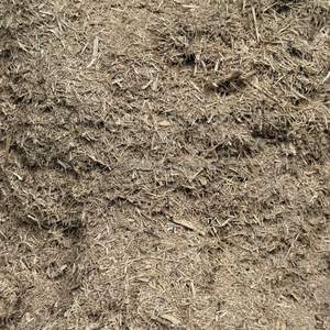 Polvo de bagazo de caña de azúcar de Vietnam para alimentación de ganado, aves de corral y rumiantes - Kim Minh International - Product Image 2