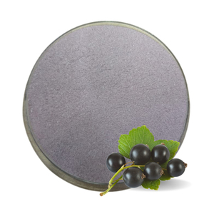 Premium High Quality Blackcurrant Juice Powder Halal OEM B2B <b>Best</b> Supplier Guarantee Top Sale Antioxidant Health Beverage Mix - Product Image 1