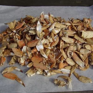 Food Grade Dried <b>Crab</b> Shell Supplier | Dried <b>Crab</b> Shell for Stuffed Seafood Dish - Product Image 1