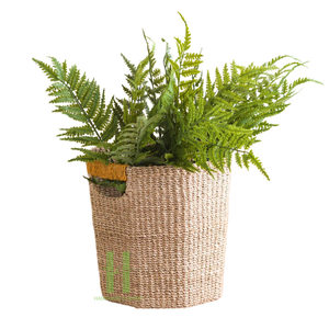 Panier de jardinière intérieur et extérieur Pots de fleurs et jardinières en jacinthe d'eau faits à la main Conception OEM personnalisée au Vietnam - Product Image 3