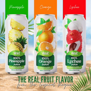 Premium Pure 100% jugo de naranja 490ml lata Fabricante Etiqueta privada OEM ODM Precio al por mayor ISO - Product Image 5