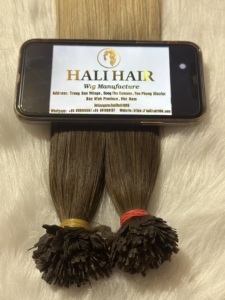 Venta al por mayor 100% Remy vietnamita queratina pre-enlazada Extensiones de Cabello Humano Máquina doble trama Hali Super doble suministro OEM individual - Product Image 4