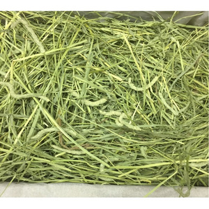 Heno de Timothy de Primera Calidad, Grado A, Origen Reino Unido, para Ganado y Caballos, Muestra de 500g - Product Image 3
