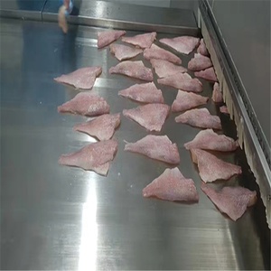 Ayarlanabilir Hızlı Soğutma Sistemli Paslanmaz Çelik ve Kauçuk Isıya Dayanıklı Bantlı Konveyörler Sıfır Durumda - Product Image 3