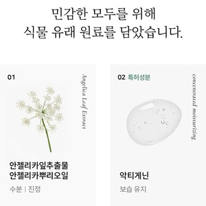 โทนเนอร์บำรุงผิวหน้า Korea Angelica Niacinamide Adenosine Liquid ขนาด 170 มล. - สูตรหรูหรา ช่วยเติมความชุ่มชื้นและลดเลือนริ้วรอย สำหรับทุกสภาพผิว - Product Image 6
