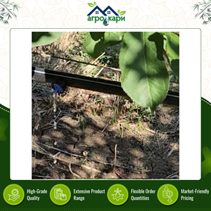 Performances durables, qualité supérieure, vente en gros, goutteur PVC auto-compensant 8 L/H pour aquaponie, hydroponie, vignobles, serres - Product Image 6