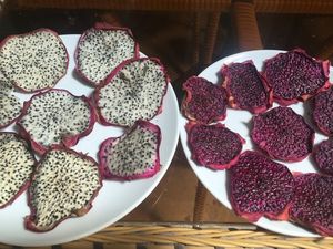 MEILLEUR PRIX Blue Lotus 2025 Tranches de fruits du dragon séchés pour smoothie et boissons de boulangerie - Product Image 3